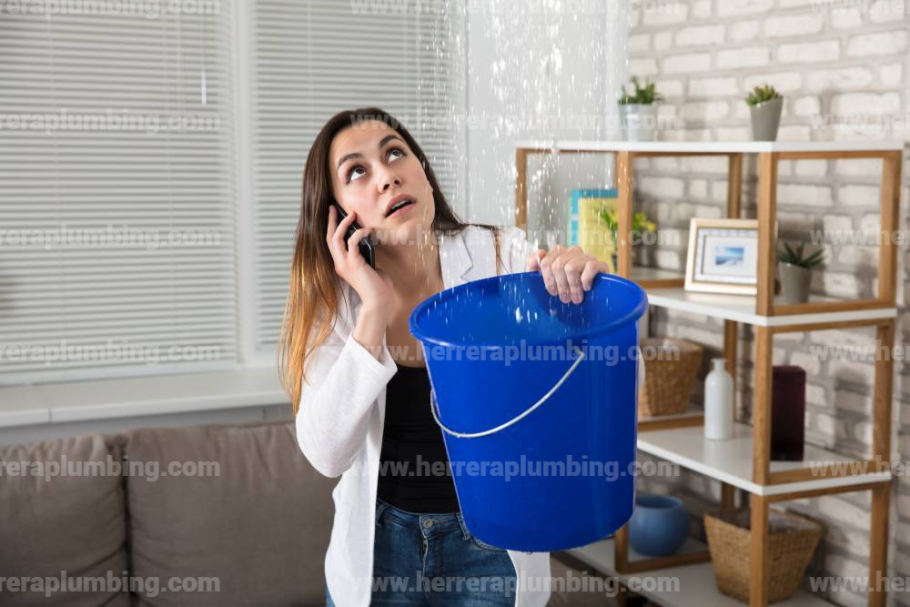 Emergency Plumbers challenges in 2021