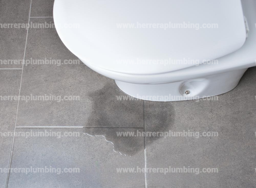 Leaking toilet in Houston